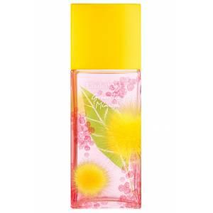 Green Tea Mimosa 100 vaporizador 1