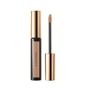 YSL Teint Encre Peau Corrector 04 1